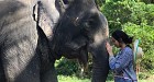 Aonang Elephant Sanctuary