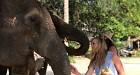 Aonang Elephant Sanctuary