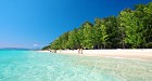 Premium Phi Phi Islands Compact Day Tour from Krabi