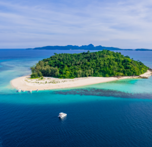 Phi Phi Maya & Bamboo Islands by speed Catamaran Boat